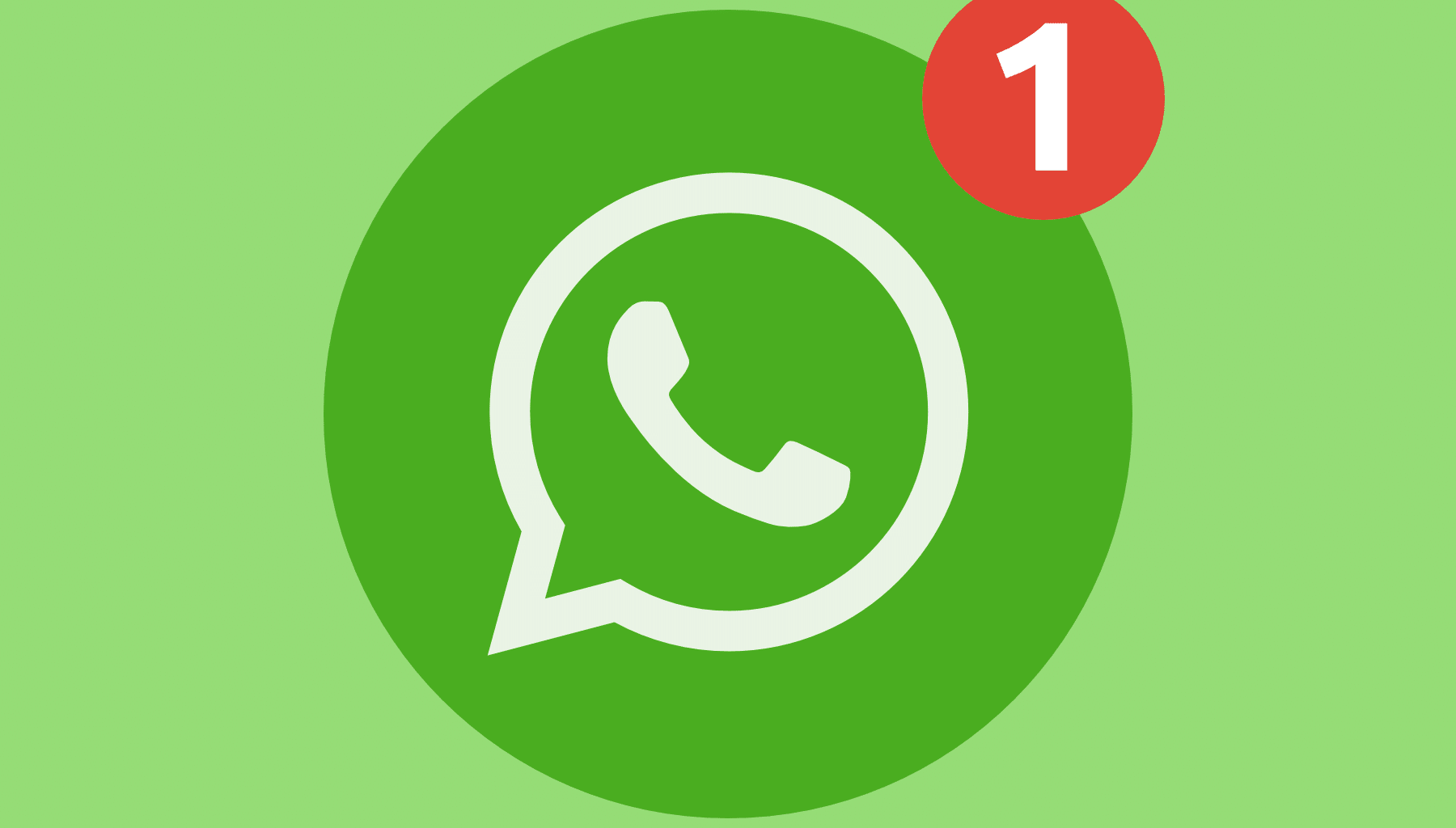 US WhatsApp account cleaning channels